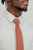 Sedona tie worn with a white shirt.